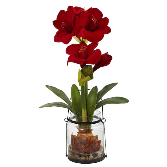 24" Red Amaryllis in Glass Vase